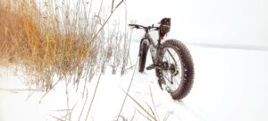 bike, snow, winter, fatbike, grass, dried grass, frost, cold, lake, nature, outdoors, fatbike, fatbike, fatbike, fatbike, fatbike