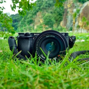 photographie animalière