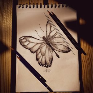 brown and black butterfly illustration