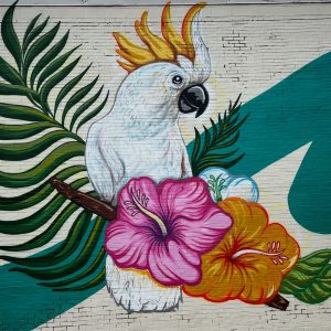 blue white and red bird painting